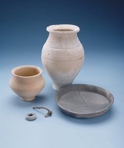 Bicchiere, piatto, vaso, spilla e perla: corredi funerari da una tomba femminile a Watlington, Oxfordshire, tarda Età del Ferro